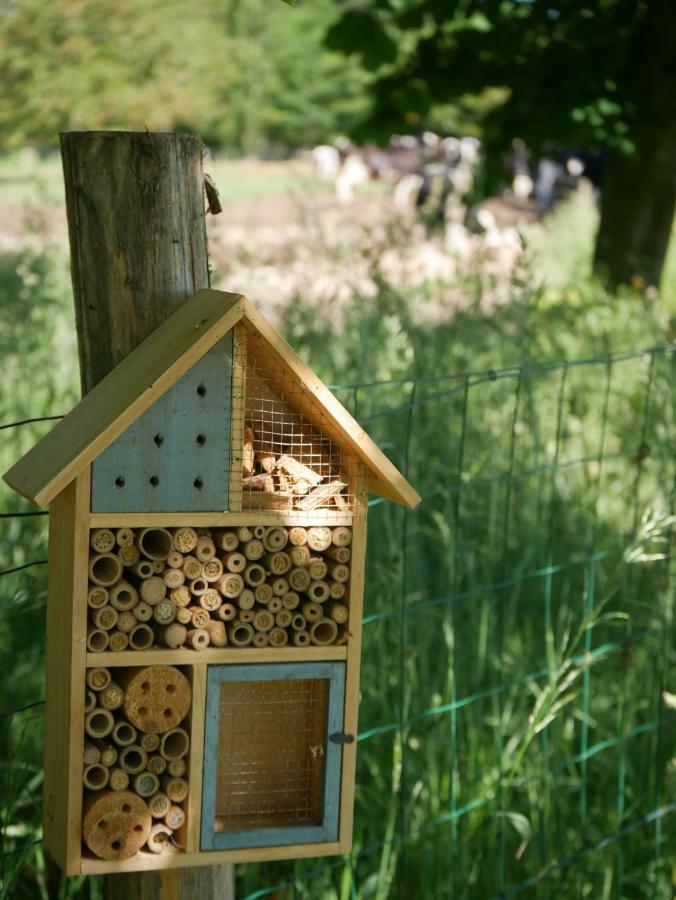 Studio En Vallee Du Loir 20Km Du Zoo Saint-Jean-de-la-Motte 외부 사진