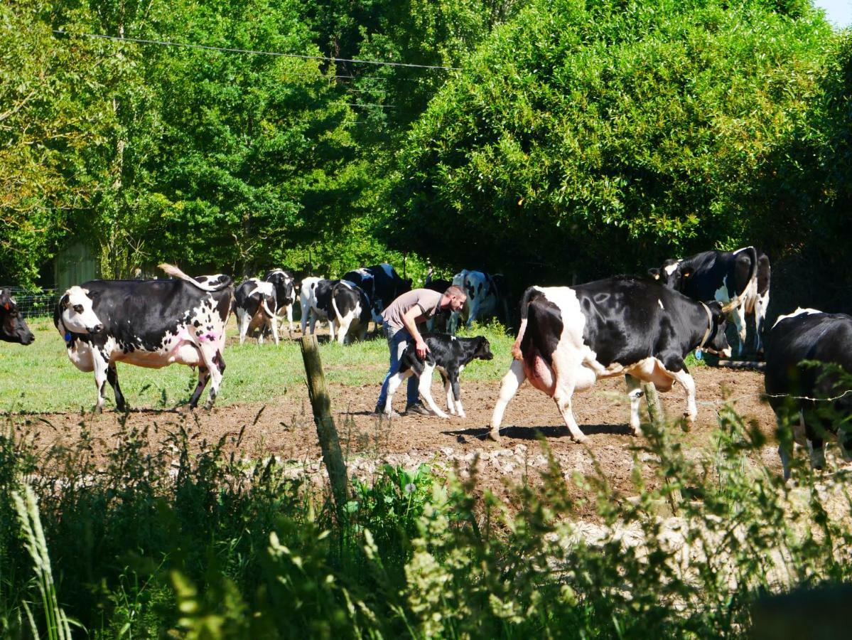 Studio En Vallee Du Loir 20Km Du Zoo Saint-Jean-de-la-Motte 외부 사진